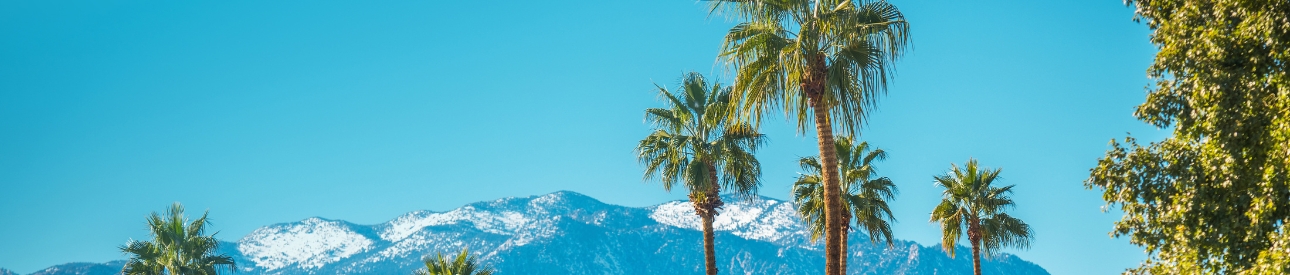 snow cap mountain behind palm trees