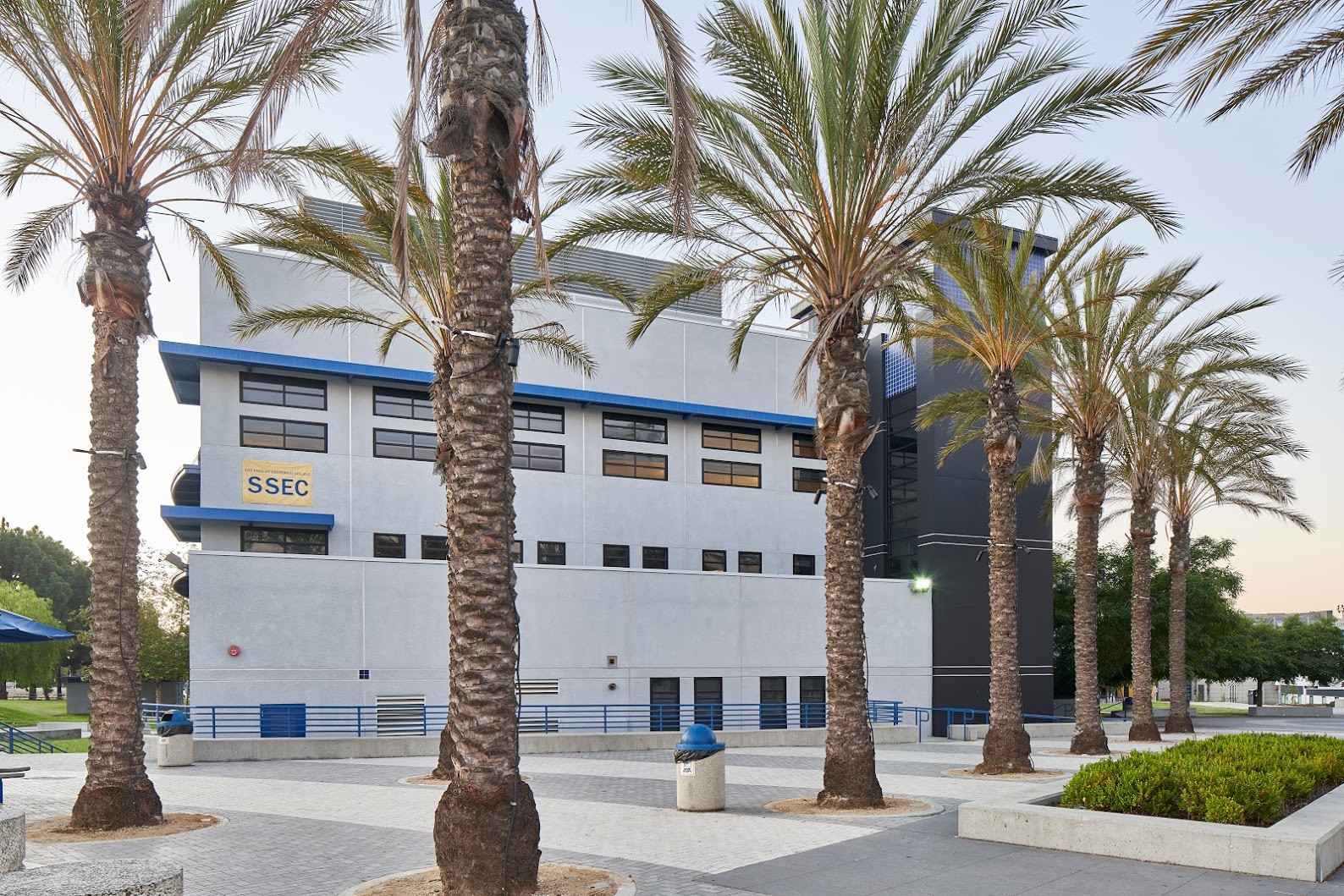 Campus Building Behind Palm Trees