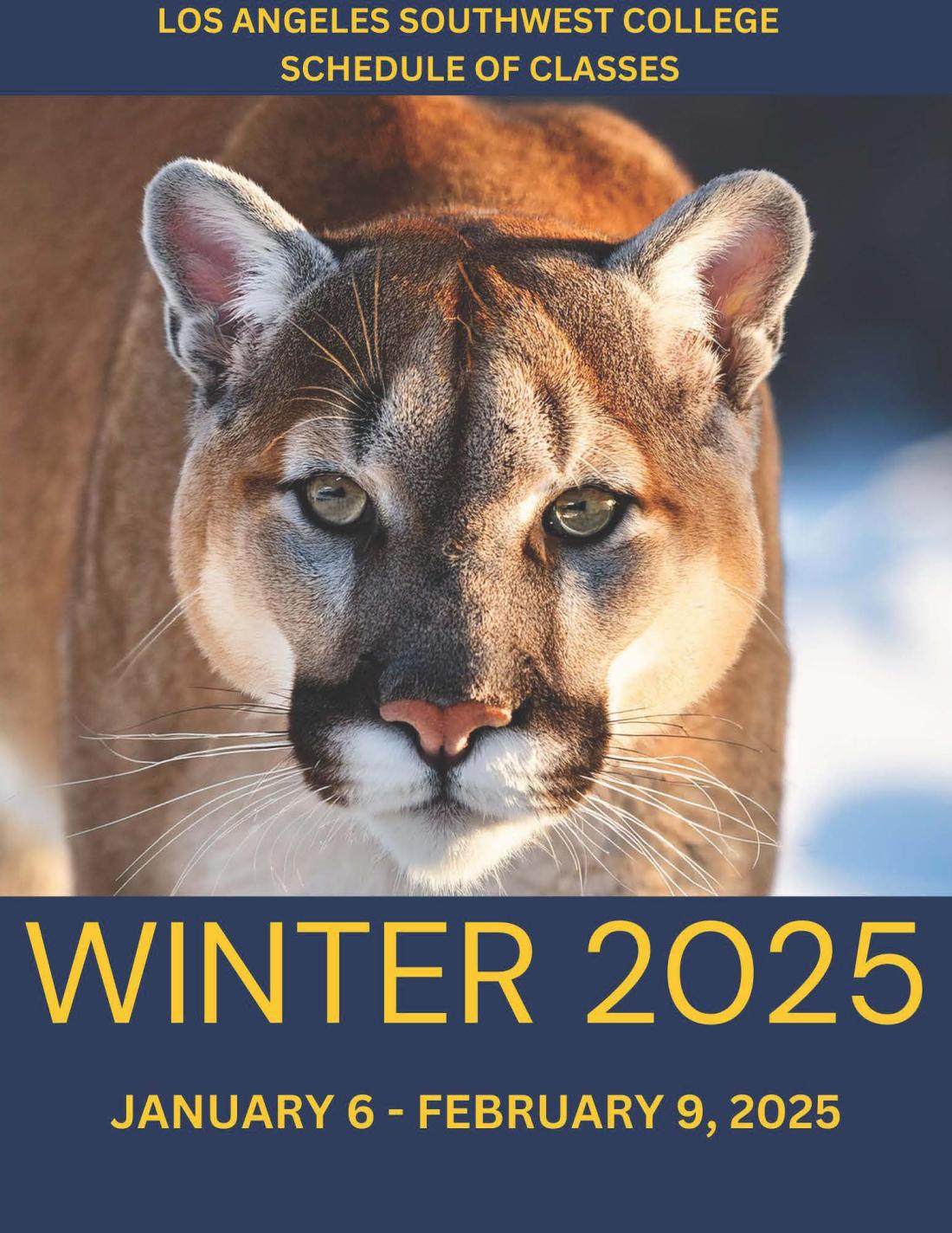 Cougar with snow in the background